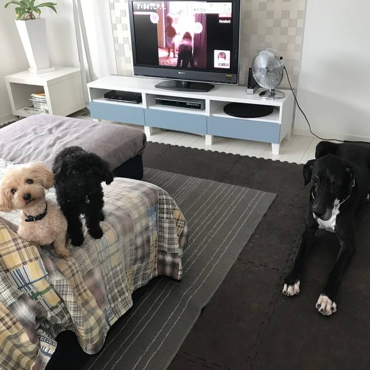 8bdc80a1 6bac 4f9e b92e 360665e60477