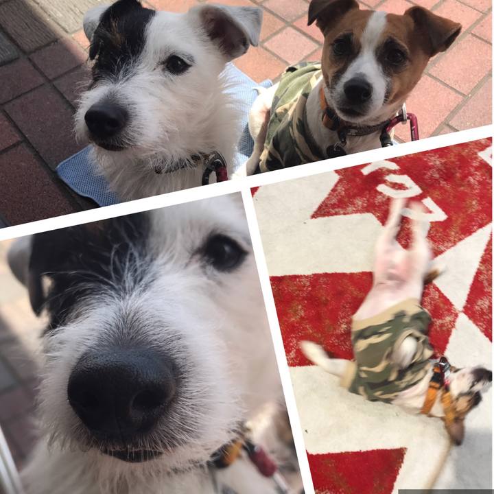 8bdd0712 0403 4bf6 bbc1 de8b6ad16f8b