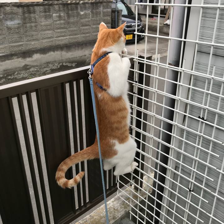 8bddbe9c 3e93 4cfc 9799 8c60b0fbb879