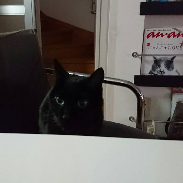 8bdde9be 6260 4d88 9a3b 7b2008e5bd8e