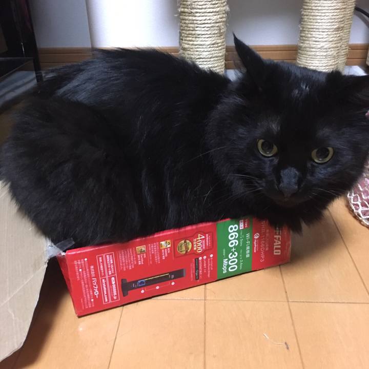 8bde6fbf 7e5a 4a11 8f23 c5165bf77daf