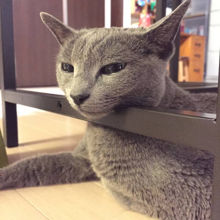 8bde75cf b494 426d b2d6 dfc3fb6b2fa5