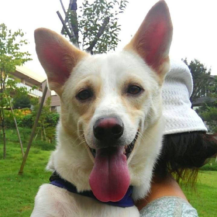 8bdeabd0 6f39 47b8 85d1 a5284f7b1048