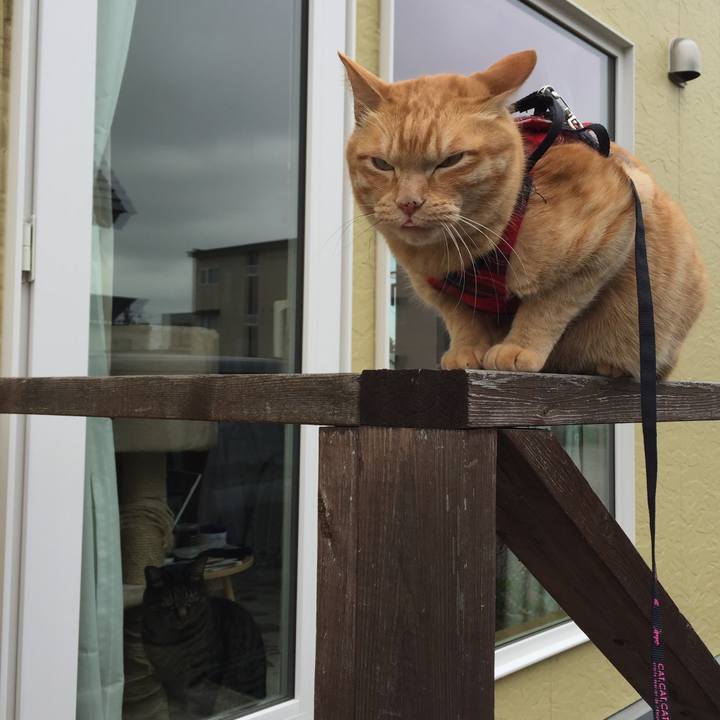 8bdf05bc 9fd7 4211 a55b 362a5753144e