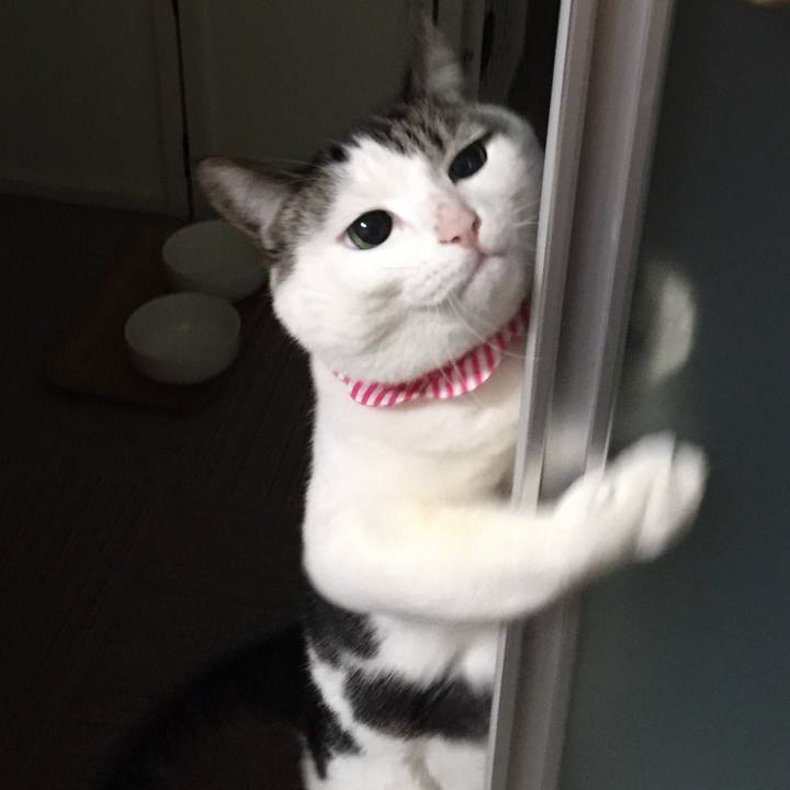 8bdff4f4 bfdf 4c75 9588 eef87cc85c8e