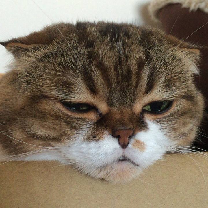 8be023fd 9cab 44da b61b c80da4823191