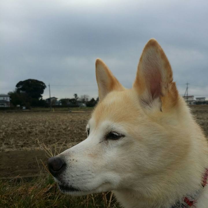 8be132ca 65ad 4ea8 80b9 0223799bee22