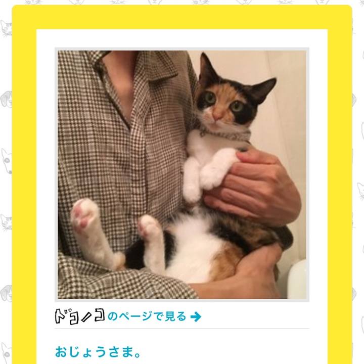 8be139bc 035b 4b16 9e80 d5bf8fa707d7