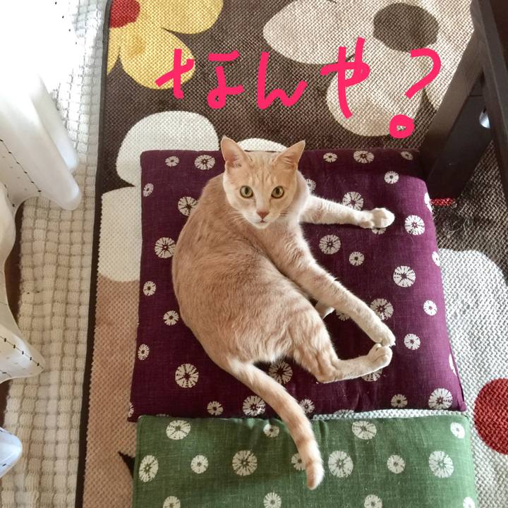 8be1920c ec27 48f8 aa99 21e9fad69e80