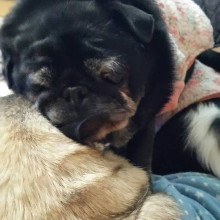 8be19b96 5e55 494b beb9 ef98f44dd019