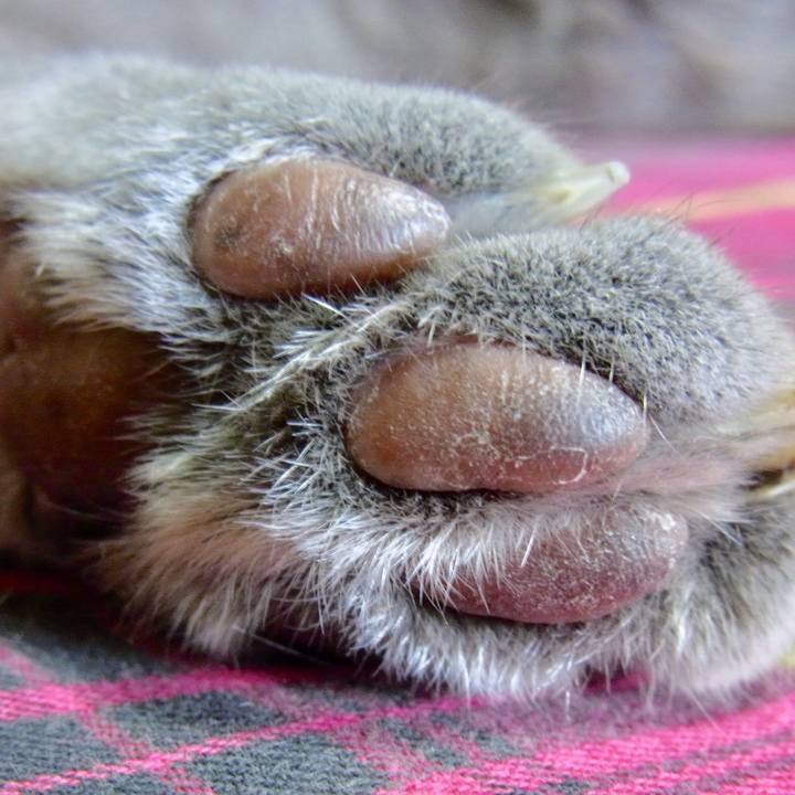 8be1cafc 9de2 4e27 ba1c 6cc790e26722