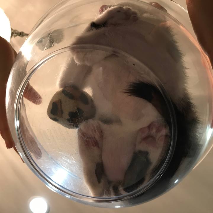 8be1e767 0bc1 4224 b181 8e229f887c9e