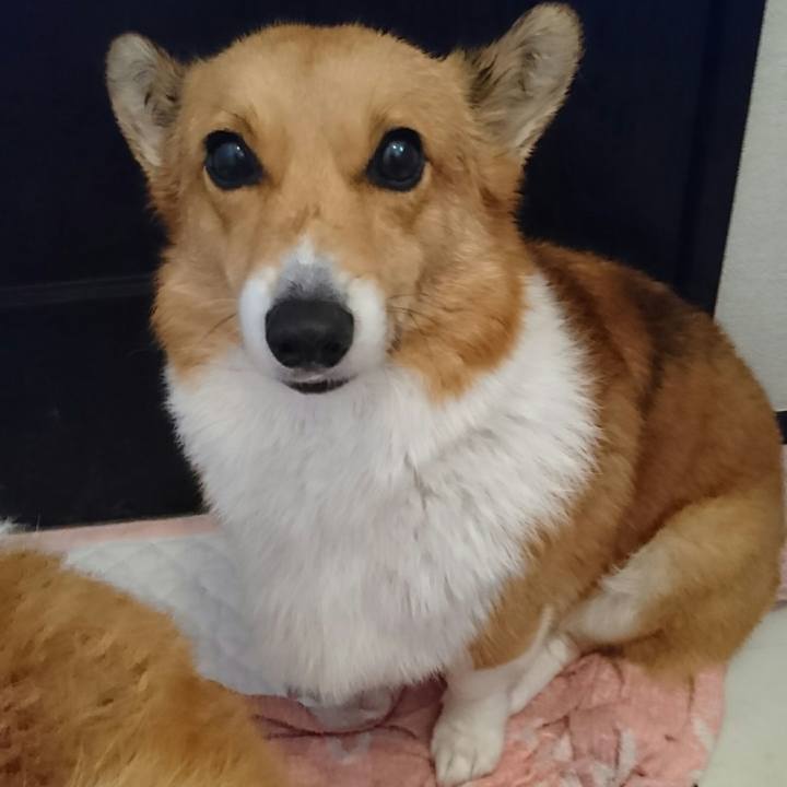 8be3110c 6d67 4ca2 a5c3 003d4982c058