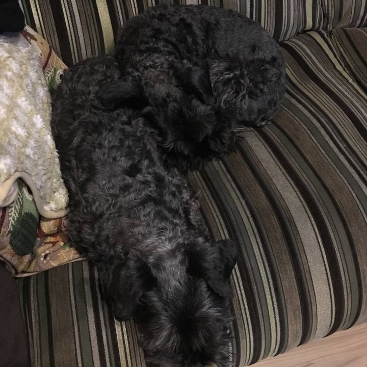 8be31d3a 03fa 4da1 8629 c0a38a1542dd