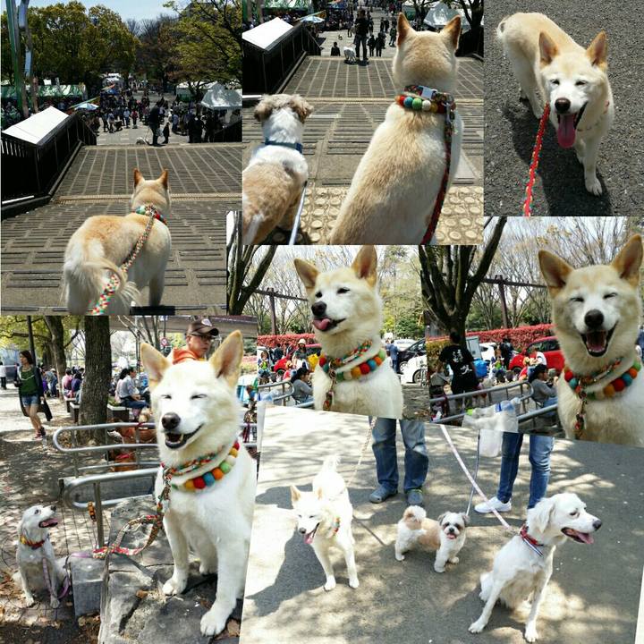 8be33d70 091a 4a43 9a5b 4b00587fa660