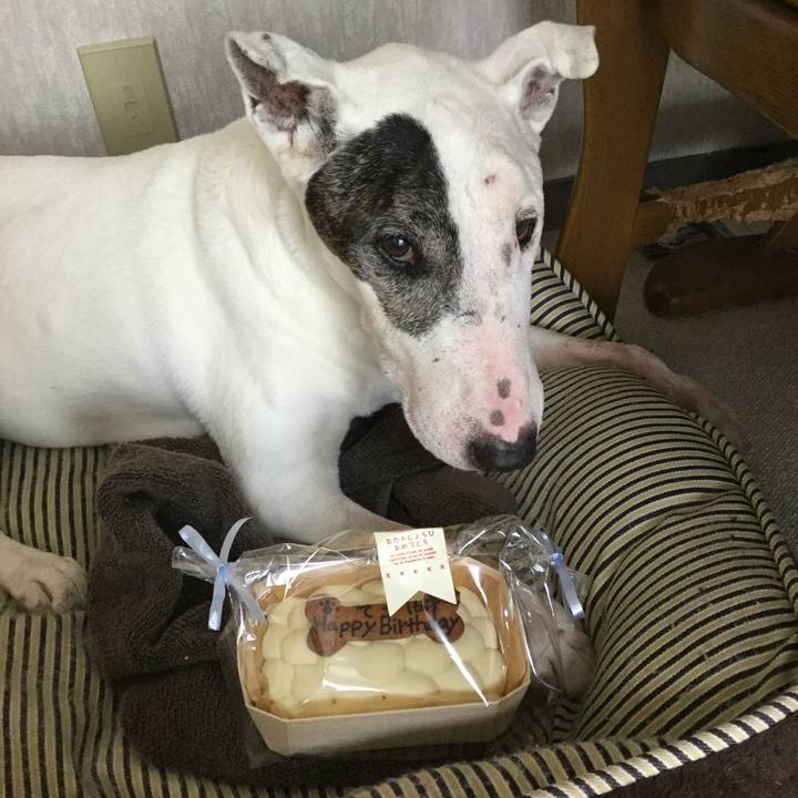 8be3c14e 277a 4632 9c8f 74aa47a028c5