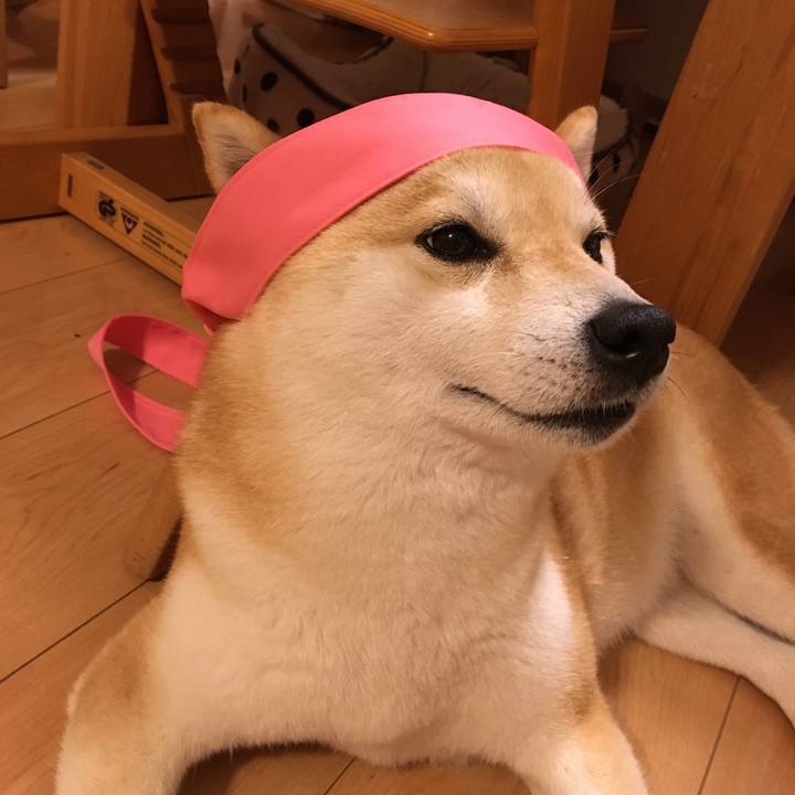 8be42121 8856 4d85 8da4 40101263e47e