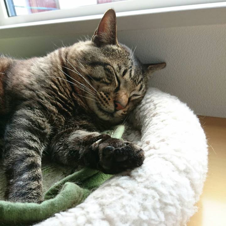 8be444f0 f4d4 4b1c a6e7 f153252ed1a7