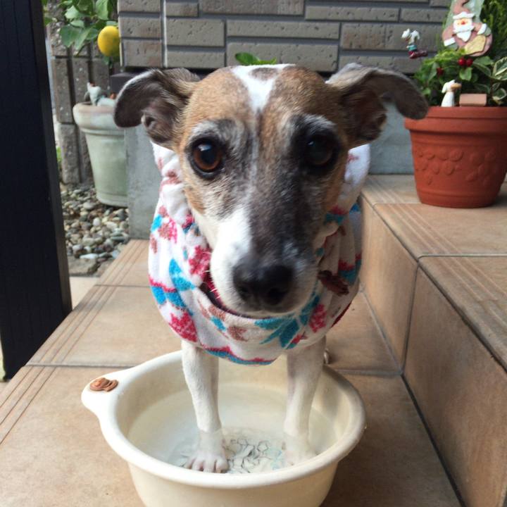 8be4a799 48dc 4b38 b298 7bc59b988cda