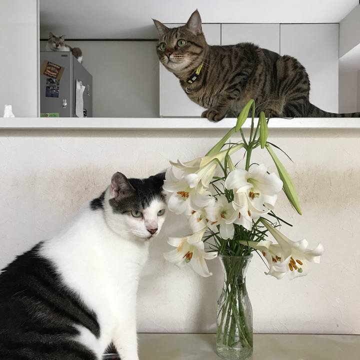 8be4bbce b6ee 437d a64a 793f78bb4f89