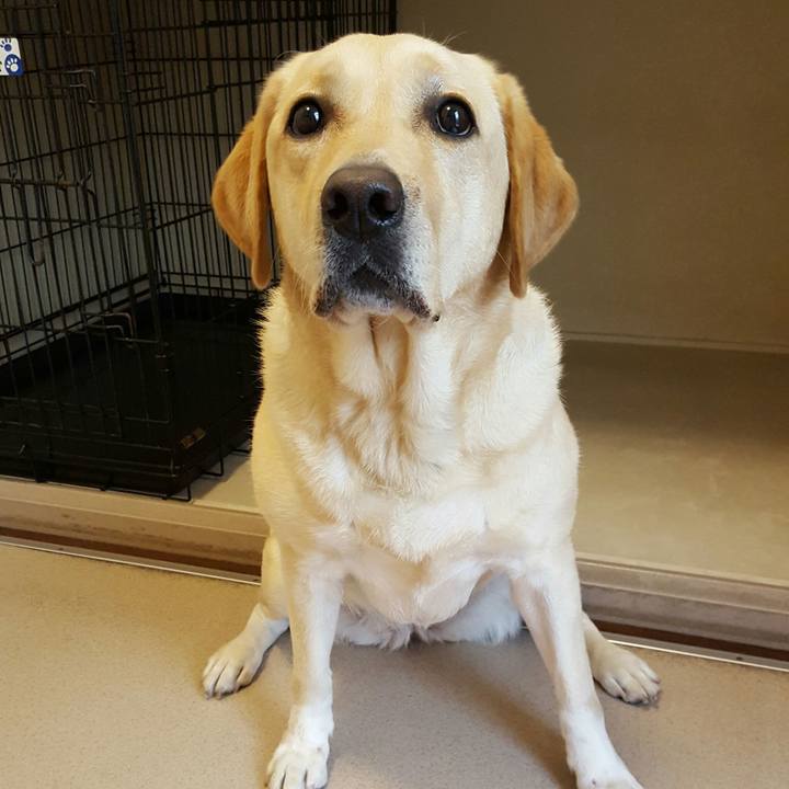 8be4e9ae 030c 40ec 8061 b2c40f717621