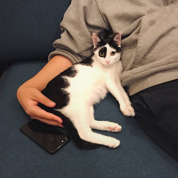 8be4ec68 bb03 44d1 ae6c 104ee23c35f5