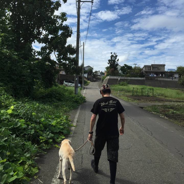 8be50815 0ffc 4d44 ad7d 3cc1454cedc2