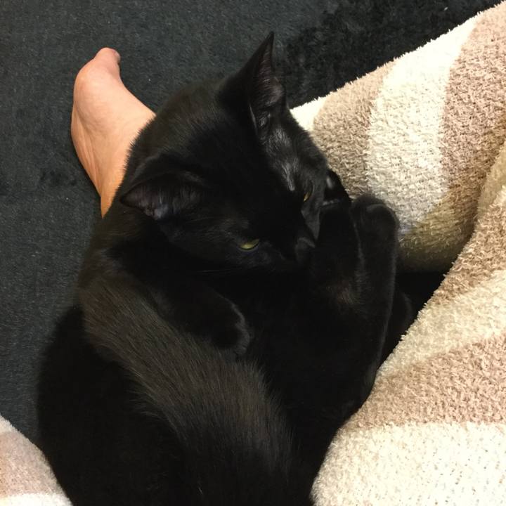 8be569dc 5804 44de 8f03 8c78e6455095