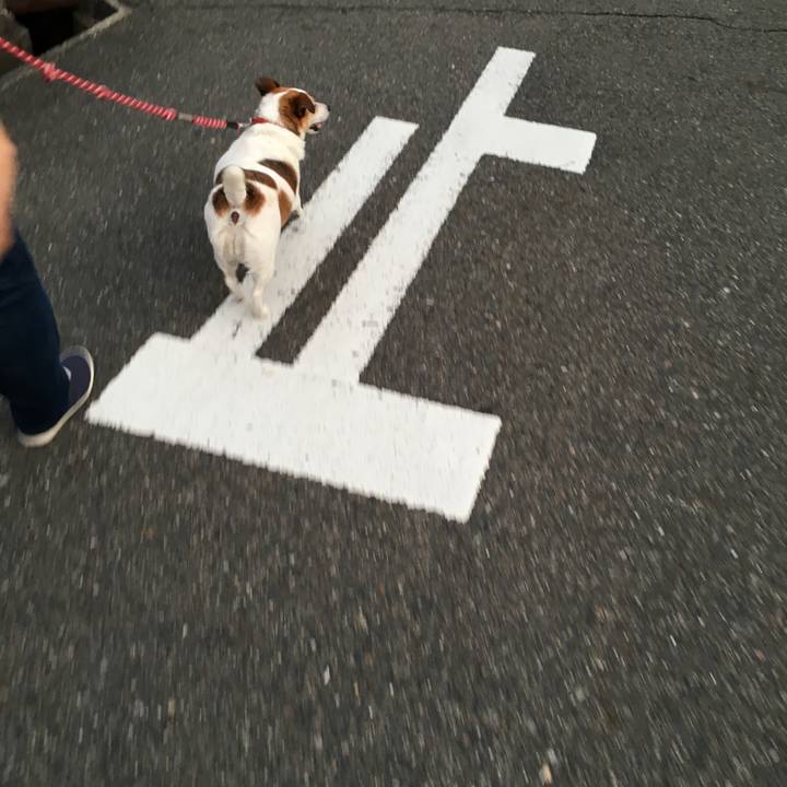 8be66371 f9e0 44b3 81b6 624abb1d7951