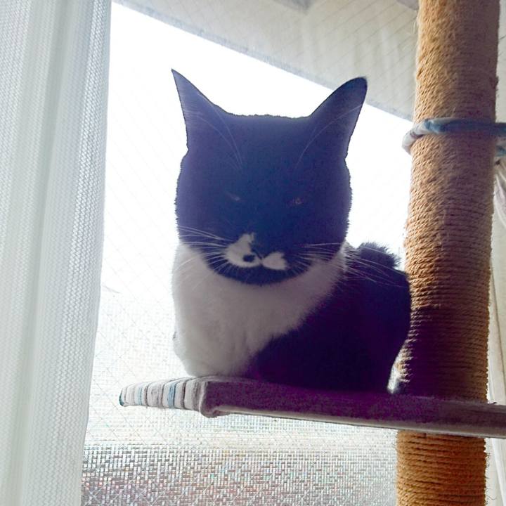 8be70e29 37f7 4155 81b7 682a7abc6884