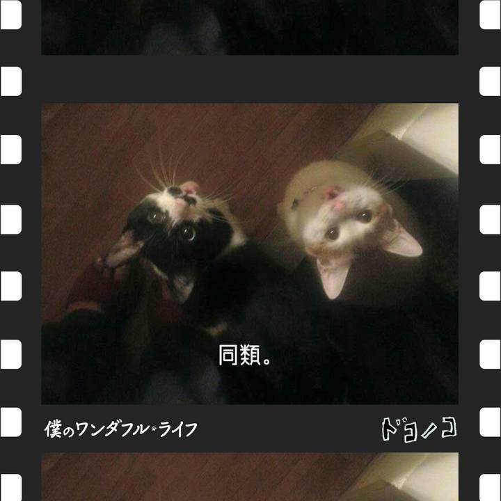 8be73e41 11b6 41da b9c6 19dbe09ec949