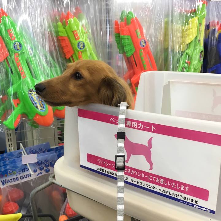 8be7d6d8 eb12 4164 984c f606399ab166