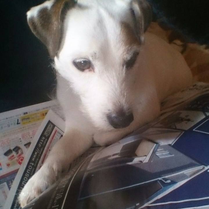 8be83594 077b 4450 8c8e bbe8e454005a