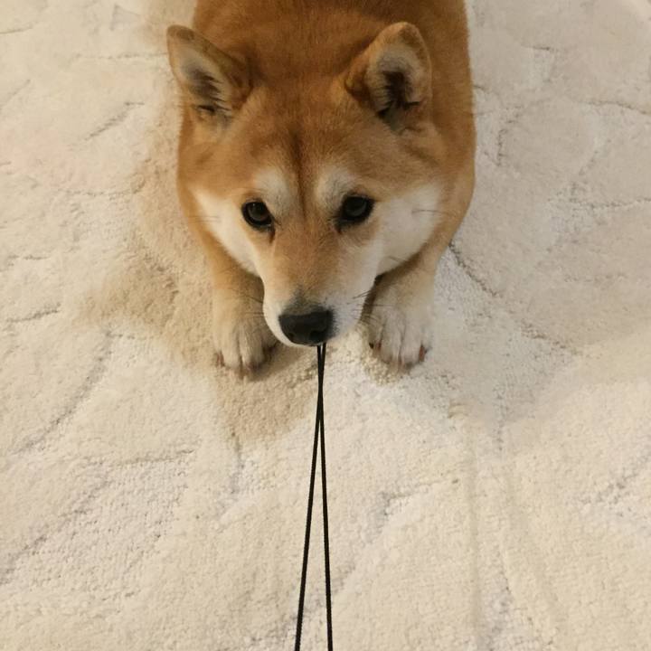 8be872b9 12f7 4c4a 94d3 c50a9962f99e