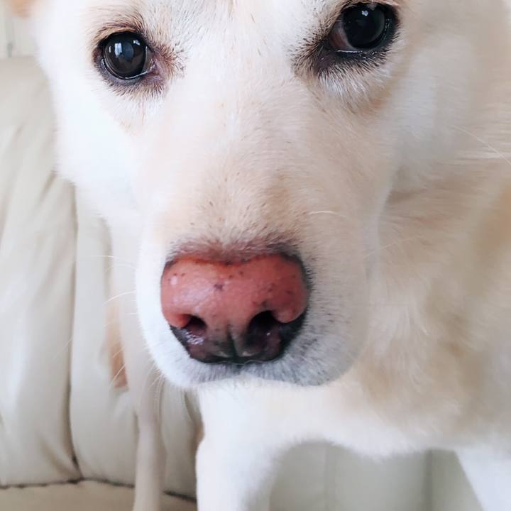 8be97293 a6bb 43ed 9ca8 ee4ef4f83801