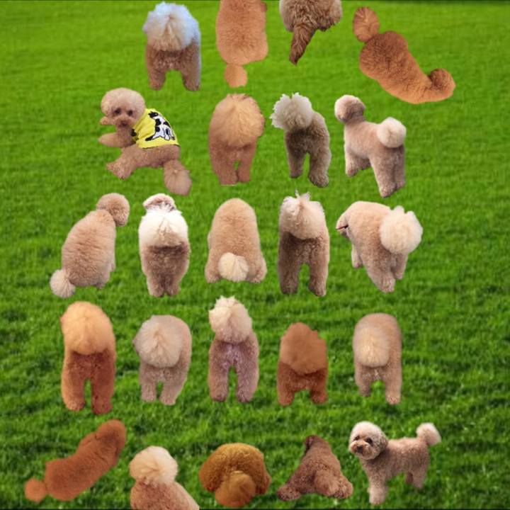 8bea3f1f f709 4f6b 8715 d499b4c9c67b