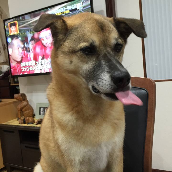 8bea7330 fbbd 4d3b aa3a 7543b9f08c13