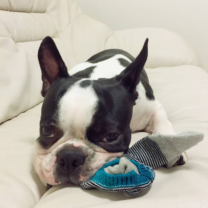 8beab7c0 d992 4d31 af1d 974d41290d87