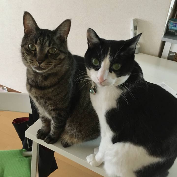 8beb94ad 4370 4932 9709 fc21fb1b69e5