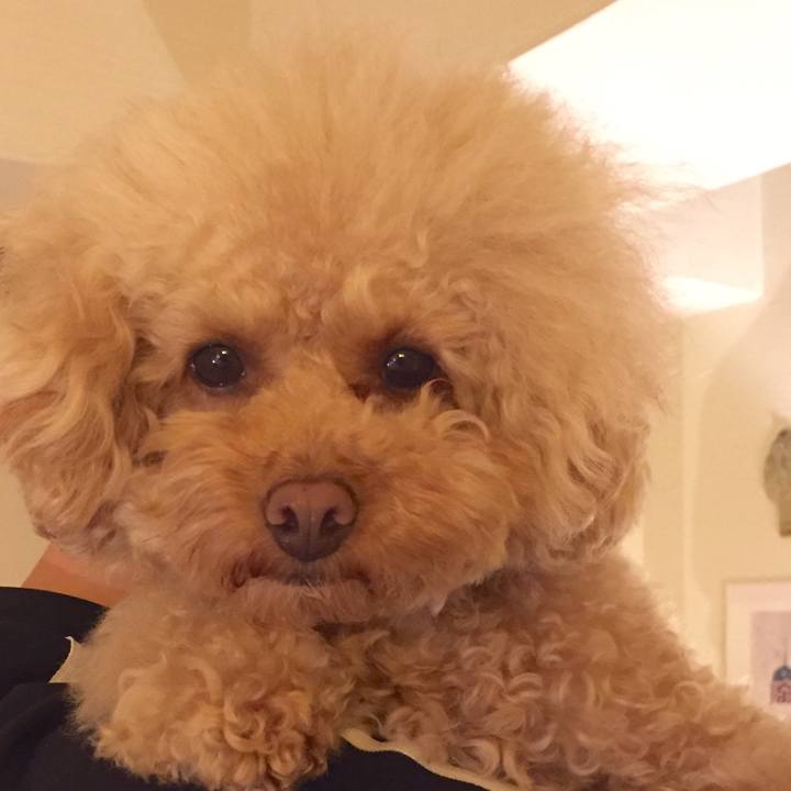 8beba1a3 d1ea 454d 885d 4564eb84c234