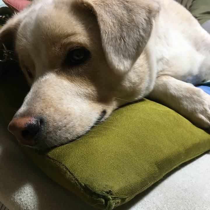 8bebd87d aca7 49a3 b744 0ff21bf8df8d