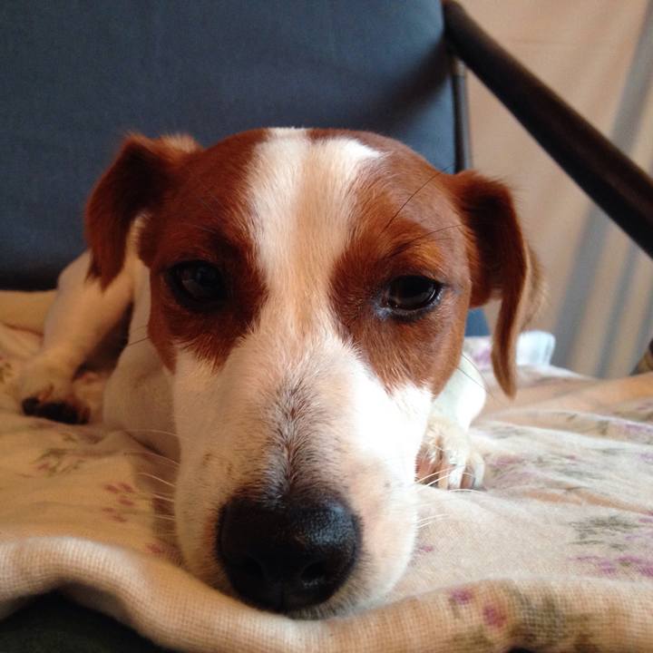 8becb353 e509 42f0 a3ec f348b9b42342