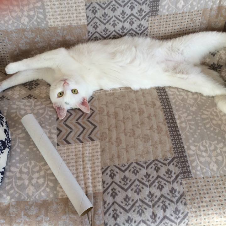 8bece7a2 bd86 405d adc6 89fe0ce274eb