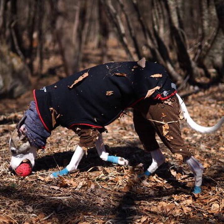 8bed9f1b e4a9 4d48 bbbc b68691905950