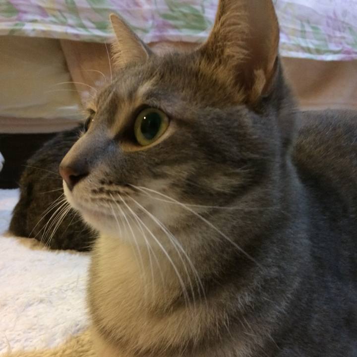 8beda79c 46e7 4400 be62 263d5f83a5c5