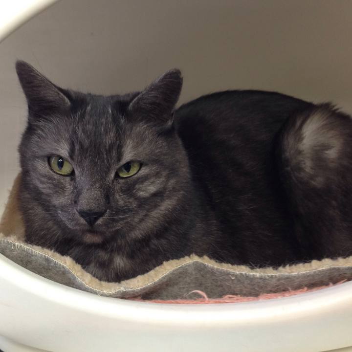 8bede45b 6ee6 4acc 88cc 79ca8d3ec9c7