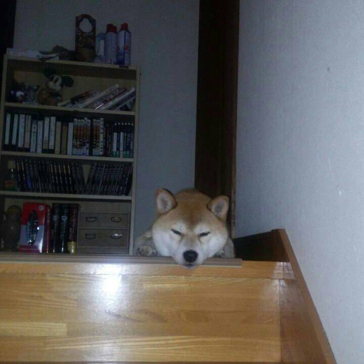 8bee7779 b992 4490 af1f 7184454628d6