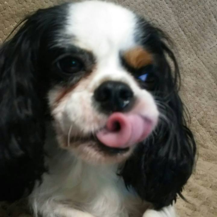 8bee9d6c 916f 4afb 8600 16300a8402e4