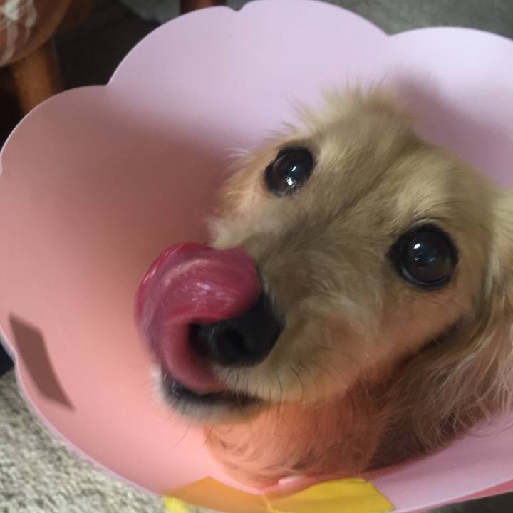 8beecfec 0af0 4127 ba58 8948d7467472