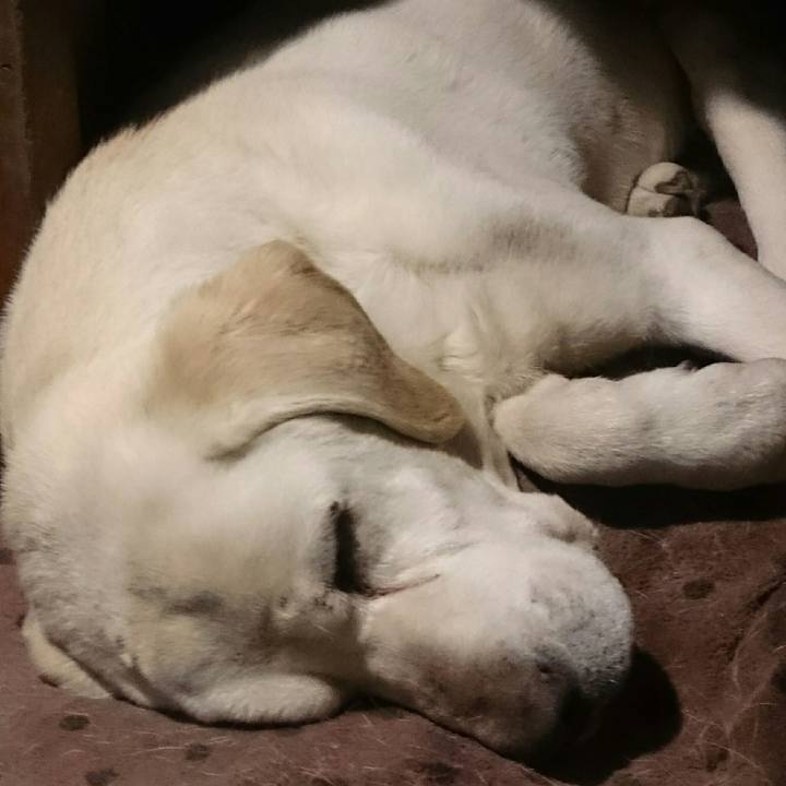 8beee086 20b0 4de9 b08e 44c3ace68882